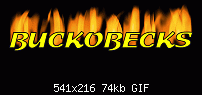 Click image for larger version. 

Name:	buckobeckflame.gif 
Views:	246 
Size:	73.5 KB 
ID:	68512