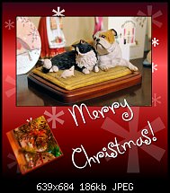 Click image for larger version. 

Name:	Merry Christmas 2009.jpg 
Views:	221 
Size:	185.9 KB 
ID:	68578