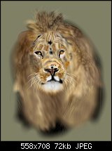 Click image for larger version. 

Name:	Lion.jpg 
Views:	332 
Size:	72.0 KB 
ID:	68985