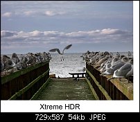 Click image for larger version. 

Name:	hdr xtreme photo.jpg 
Views:	120 
Size:	53.9 KB 
ID:	70544