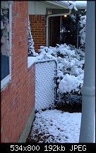 Click image for larger version. 

Name:	Snowy gate-3.jpg 
Views:	167 
Size:	191.6 KB 
ID:	70691