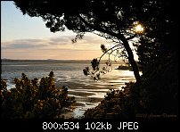 Click image for larger version. 

Name:	Montrose Basin 2010-04-11a.jpg 
Views:	162 
Size:	102.5 KB 
ID:	71865