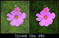 Click image for larger version. 

Name:	clone-select-slice-darken+blur.jpg 
Views:	245 
Size:	71.9 KB 
ID:	71878