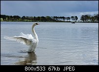 Click image for larger version. 

Name:	Monikie Country Park 2010-05-03b.jpg 
Views:	198 
Size:	66.5 KB 
ID:	71898
