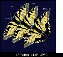 Click image for larger version. 

Name:	Butterfly.jpg 
Views:	255 
Size:	41.1 KB 
ID:	729