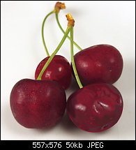 Click image for larger version. 

Name:	cherries.jpg 
Views:	317 
Size:	50.3 KB 
ID:	73365