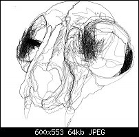 Click image for larger version. 

Name:	skull line.jpg 
Views:	116 
Size:	63.9 KB 
ID:	73840