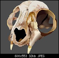 Click image for larger version. 

Name:	catskull.jpg 
Views:	148 
Size:	31.6 KB 
ID:	73841