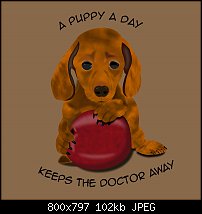 Click image for larger version. 

Name:	A Puppy A Day Keeps the Doctor Away.jpg 
Views:	168 
Size:	102.3 KB 
ID:	75270