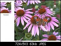 Click image for larger version. 

Name:	thumb_example.jpg 
Views:	182 
Size:	63.1 KB 
ID:	75346