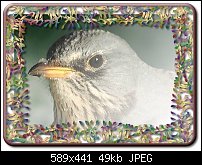 Click image for larger version. 

Name:	Frame2.jpg 
Views:	745 
Size:	49.1 KB 
ID:	7663