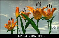 Click image for larger version. 

Name:	Daylilies1995.jpg 
Views:	328 
Size:	77.4 KB 
ID:	783