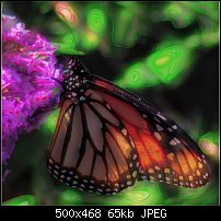 Click image for larger version. 

Name:	Monarch1.jpg 
Views:	141 
Size:	65.3 KB 
ID:	7878