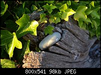 Click image for larger version. 

Name:	Stone wood and vine.jpg 
Views:	251 
Size:	97.7 KB 
ID:	83533