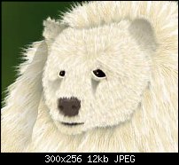 Click image for larger version. 

Name:	Spirit-Bear.jpg 
Views:	141 
Size:	11.9 KB 
ID:	83742