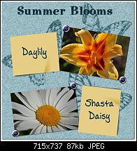 Click image for larger version. 

Name:	summer blooms.jpg 
Views:	185 
Size:	86.5 KB 
ID:	84058
