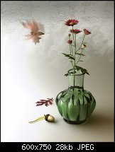 Click image for larger version. 

Name:	Flowers _in_ September.jpg 
Views:	462 
Size:	27.6 KB 
ID:	84275