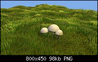 Click image for larger version. 

Name:	mushroom grass.jpg 
Views:	181 
Size:	98.2 KB 
ID:	84519