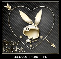 Click image for larger version. 

Name:	rabbit.jpg 
Views:	136 
Size:	159.8 KB 
ID:	84920