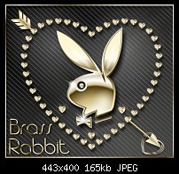 Click image for larger version. 

Name:	rabbit2.jpg 
Views:	119 
Size:	165.4 KB 
ID:	84937