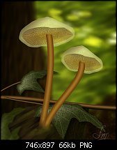 Click image for larger version. 

Name:	mushrooms.jpg 
Views:	197 
Size:	65.8 KB 
ID:	84959