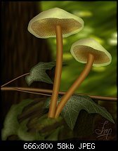 Click image for larger version. 

Name:	mushrooms.jpg 
Views:	135 
Size:	58.1 KB 
ID:	84985