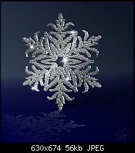Click image for larger version. 

Name:	glittering snowflake.jpg 
Views:	203 
Size:	56.5 KB 
ID:	85576