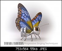 Click image for larger version. 

Name:	Butterfly-note.jpg 
Views:	264 
Size:	55.4 KB 
ID:	85682