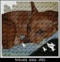 Click image for larger version. 

Name:	Redman_puzzle.jpg 
Views:	206 
Size:	59.6 KB 
ID:	8664