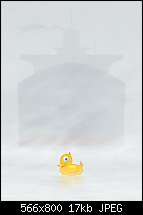 Click image for larger version. 

Name:	toot-duck2-web.jpg 
Views:	192 
Size:	17.3 KB 
ID:	87832