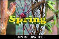 Click image for larger version. 

Name:	spring 2.jpg 
Views:	210 
Size:	80.6 KB 
ID:	88149