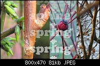 Click image for larger version. 

Name:	spring 1.jpg 
Views:	211 
Size:	81.3 KB 
ID:	88150