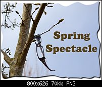 Click image for larger version. 

Name:	springspec.jpg 
Views:	214 
Size:	70.2 KB 
ID:	88163