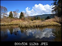 Click image for larger version. 

Name:	marsh_scenic.jpg 
Views:	275 
Size:	111.6 KB 
ID:	88263