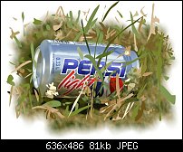 Click image for larger version. 

Name:	pepsi.jpg 
Views:	634 
Size:	80.9 KB 
ID:	8908