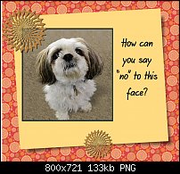 Click image for larger version. 

Name:	scrapbooking example.jpg 
Views:	137 
Size:	132.6 KB 
ID:	89815