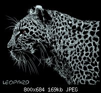 Click image for larger version. 

Name:	Leopard.jpg 
Views:	312 
Size:	169.0 KB 
ID:	91606