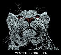 Click image for larger version. 

Name:	Leopard2.jpg 
Views:	182 
Size:	143.5 KB 
ID:	91661