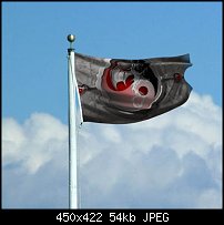 Click image for larger version. 

Name:	yinyang flag.jpg 
Views:	179 
Size:	53.8 KB 
ID:	91852