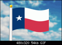 Click image for larger version. 

Name:	texan_flag.gif 
Views:	260 
Size:	54.2 KB 
ID:	91986