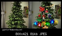 Click image for larger version. 

Name:	2009 tree.jpg 
Views:	216 
Size:	81.2 KB 
ID:	92933