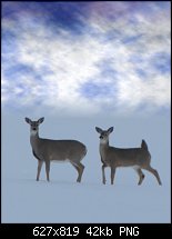 Click image for larger version. 

Name:	White Tails.jpg 
Views:	176 
Size:	41.9 KB 
ID:	94647