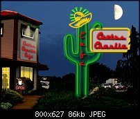 Click image for larger version. 

Name:	Cactus Charlie.jpg 
Views:	288 
Size:	86.5 KB 
ID:	95341
