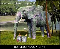 Click image for larger version. 

Name:	hide an elephant.jpg 
Views:	293 
Size:	120.1 KB 
ID:	95430