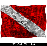Click image for larger version. 

Name:	DIve flag.png 
Views:	212 
Size:	86.8 KB 
ID:	96958