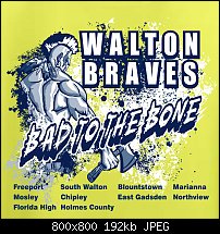 Click image for larger version. 

Name:	Braves Bad to the Bone.jpg 
Views:	118 
Size:	191.8 KB 
ID:	98056