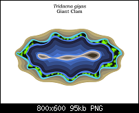 Click image for larger version. 

Name:	Giant Clam.png 
Views:	249 
Size:	95.3 KB 
ID:	98313