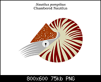 Click image for larger version. 

Name:	Nautilus.png 
Views:	612 
Size:	74.7 KB 
ID:	98314