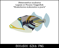 Click image for larger version. 

Name:	Triggerfish.png 
Views:	1154 
Size:	61.8 KB 
ID:	98316