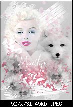 Click image for larger version. 

Name:	MARILYN BIS.jpg 
Views:	140 
Size:	44.8 KB 
ID:	98999